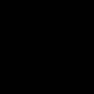 Meet your Posher, Amina